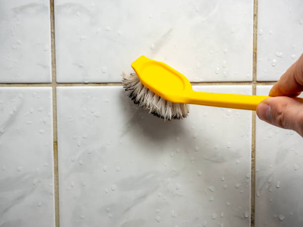 Best Black Mold Removal  in Fairplay, GA