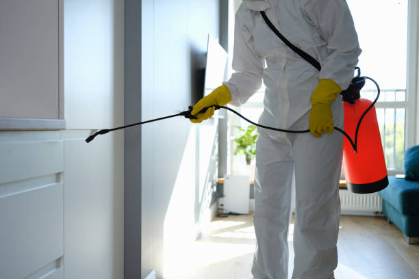 Best Toxic Mold Removal  in Fairplay, GA