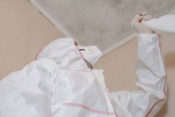 Best Crawl Space Mold Removal  in Fairplay, GA