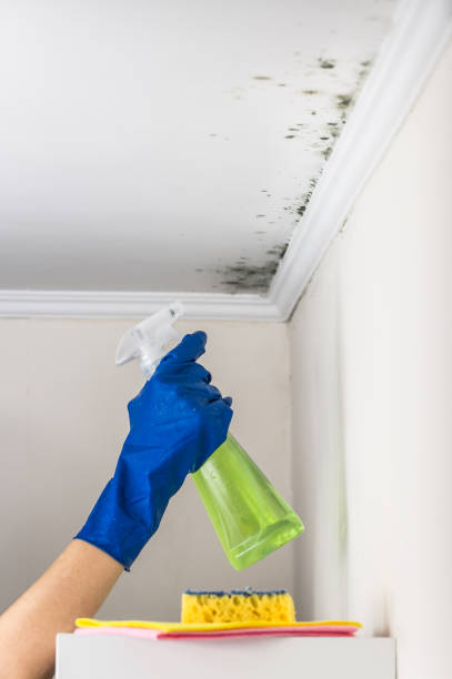 Crawl Space Mold Removal in Fairplay, GA